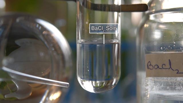 What are the products when Barium chloride (BaCl2) reacts with Lead nitrate (Pb(NO3)2) ? смотреть онлайн