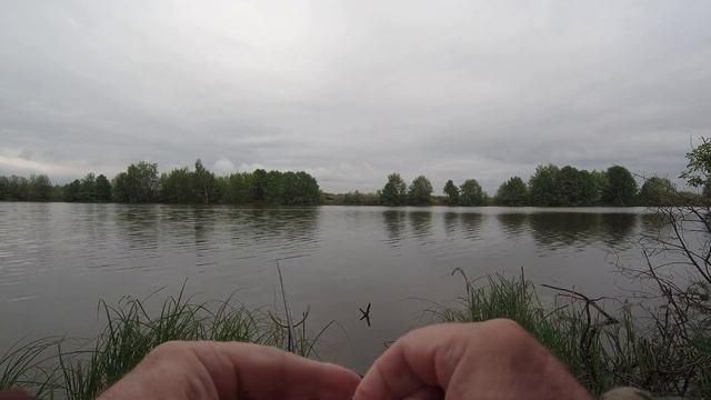 Карась, короткая дневная рыбалка на херабуну.