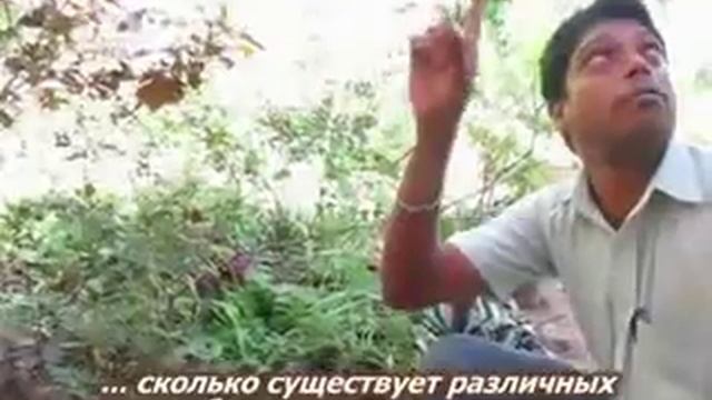Гоа Плантация Специй Tropical Spice Plantation Goa.wmv смотреть онлайн