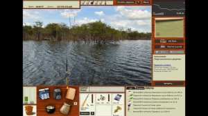 РР3|Квест -Окушки|Амазония