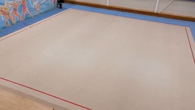 Групповые КМС. Первенство Хабаровска по художественной гимнастике смотреть онлайн