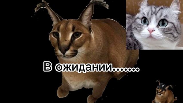 Телеграмм канал!! смотреть онлайн