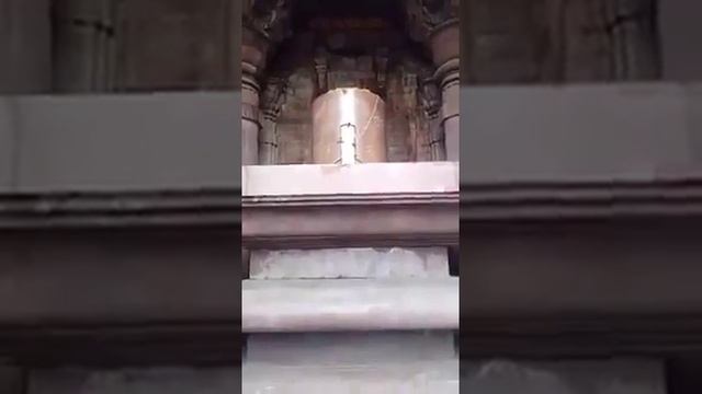 ?️ live shiv tandav stotram ?kalicharan Maharaj bhojpur (MP)#bhopal #MP #mahadev @YouTube@SEO смотреть онлайн