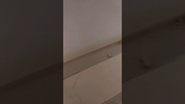 ГКЛ потолка смотреть онлайн