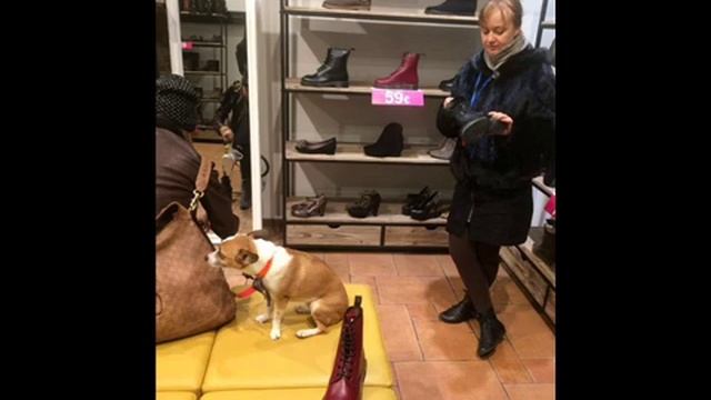 нина прс..mp4