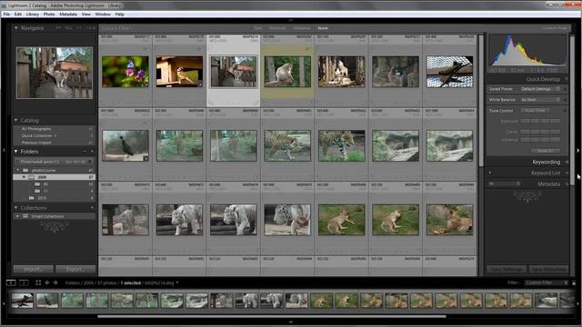 Урок 002 полного русского курса Lightroom смотреть онлайн
