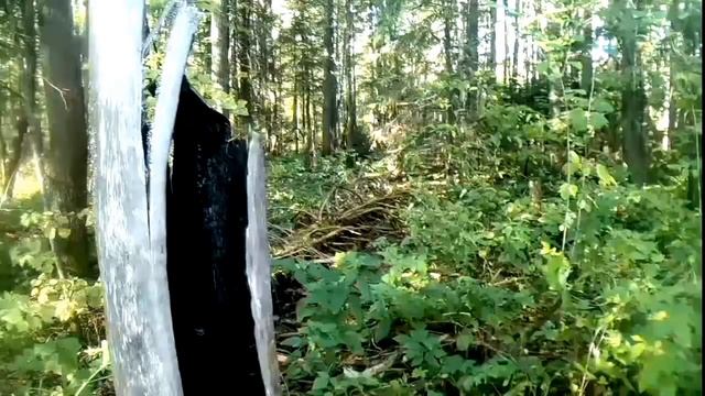 САМЫЙ ХИТРЫЙ ТАЙНИК ГДЕ БЫЛ СПРЯТАН КЛАД. смотреть онлайн