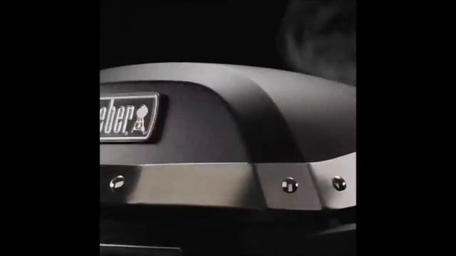 Weber Pulse 2000 - www.kioumourtzoglou.gr смотреть онлайн