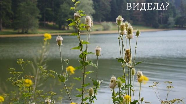 Что скрывает твое подсознание ?Волшебный тест #6 смотреть онлайн