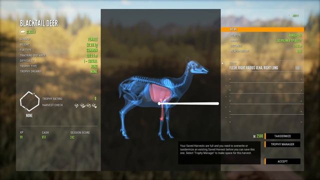 Which Equipment to Get - Starting Out in theHunter Call of the Wild! смотреть онлайн