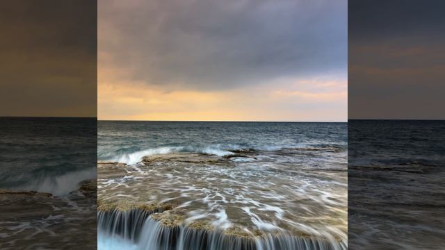 Forest Dew смотреть онлайн