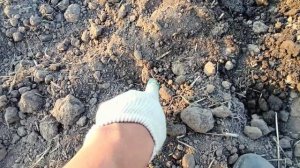 TIANXUN TX-850 с катушкой 12 дюймов. С какой катушкой лучше купить металлоискатель? Распаковка, тес