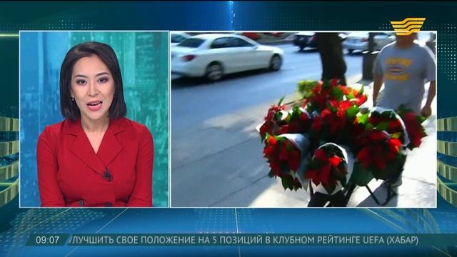 В Мексике к Рождеству выращивают 16 миллионов пуансеттий смотреть онлайн