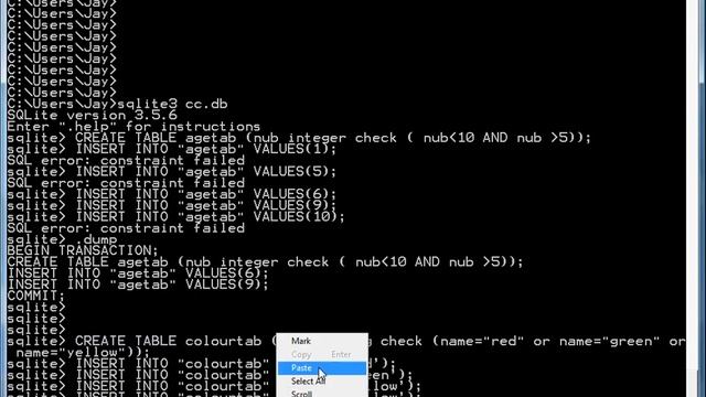 SQLite Check Constraints смотреть онлайн