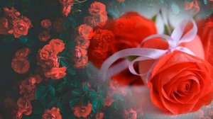 Гул тушда курса нима булиши хакида малумот