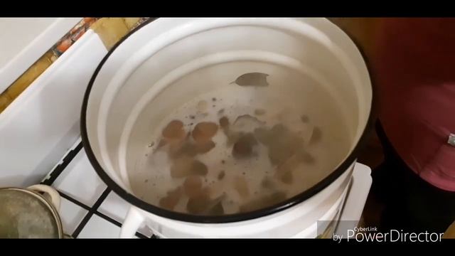 Грибы белые, сбор, мариновка, юмор. смотреть онлайн