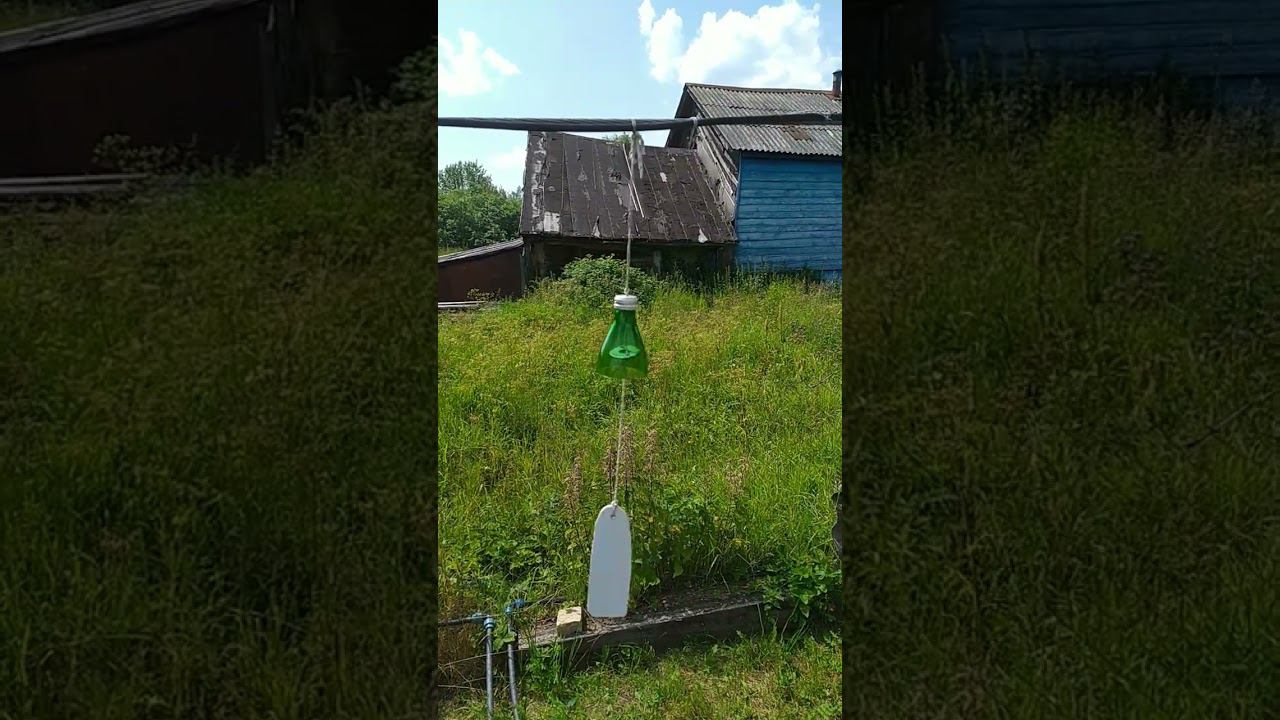 6 июля 2023 г. смотреть онлайн