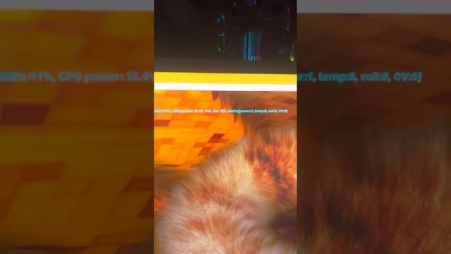 Furmark Palit Rtx3070ti 8x Msaa