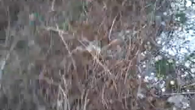 Странный город смотреть онлайн