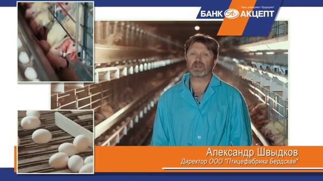 Директор ООО "Птицефабрика Бердская" о сотрудничестве с Банком Акцепт смотреть онлайн