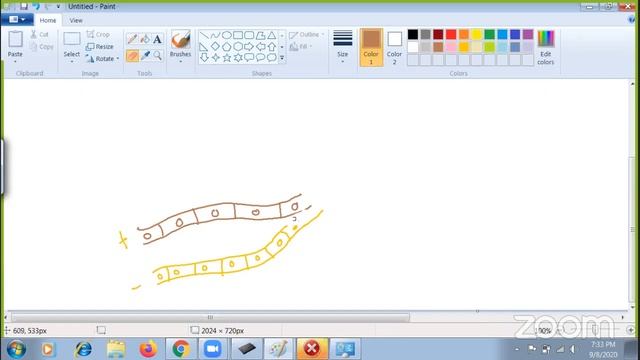 Batch G & F смотреть онлайн