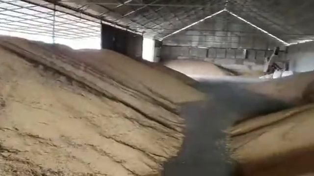 Отбор проб сои смотреть онлайн