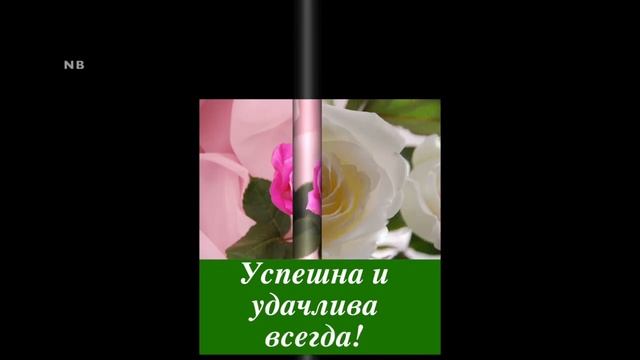 ПОЗДРАВЛЕНИЕ С ДНЕМ РОЖДЕНИЯ ПОДРУГЕ. С днем рождения, дорогая подруга! смотреть онлайн