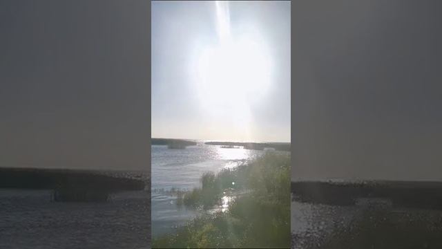 Финский залив