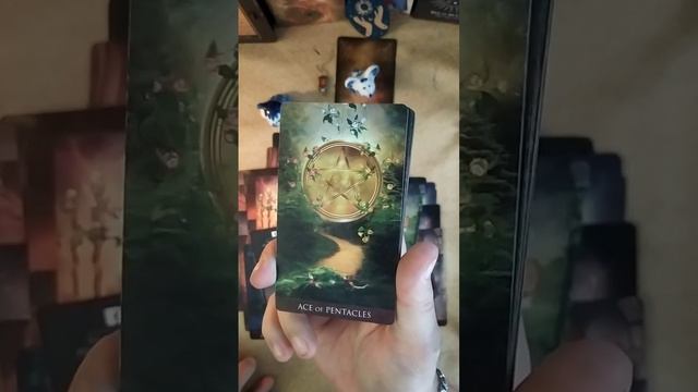 Таро для ЖЕНЩИН 🌟 личная жизнь в Декабре 🌟 смотреть онлайн