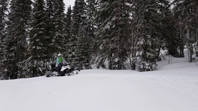 Тест SkiDoo Lynx 2019 утили #тестпилот2019 смотреть онлайн