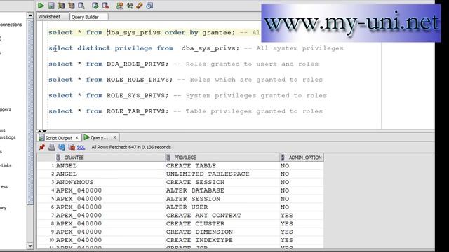 Oracle DBA, 1e24, Introduction to system privileges part 2 смотреть онлайн