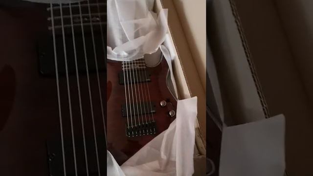 Unboxing My Schecter Hellraiser C-8 смотреть онлайн