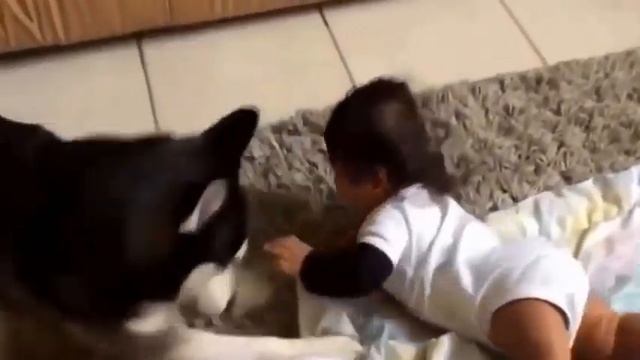 Приколы с детьми,смешные видео. Дети и животные.Собака друг человека. смотреть онлайн