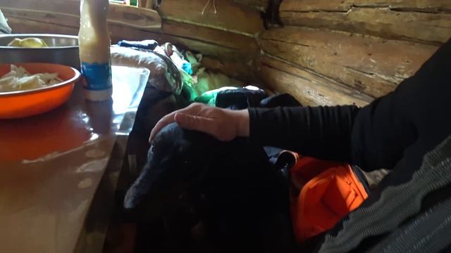 ДЕРСУ ВЕРНУЛСЯ С ЦИВИЛИЗАЦИИ, С НОВЫМИ СИЛАМИ И ВПЕЧАТЛЕНИЯМИ. смотреть онлайн