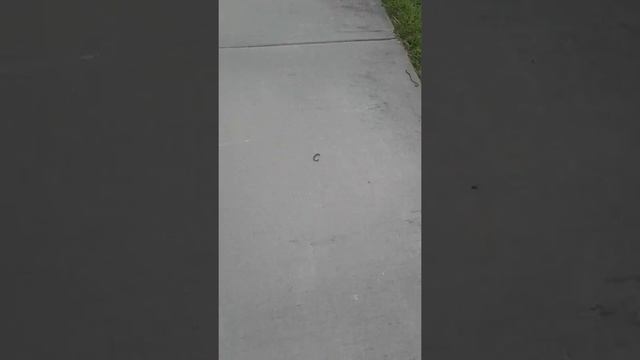 The worm massacre смотреть онлайн