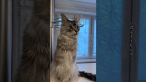 👻👻👻🙀🙀🙀