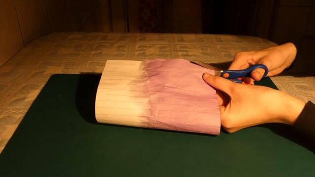 Виготовлення індикаторного паперу з розчинів антоціанів смотреть онлайн