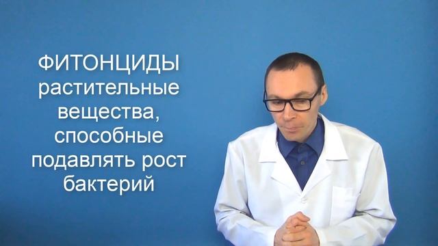 Лечебные свойства деревьев смотреть онлайн
