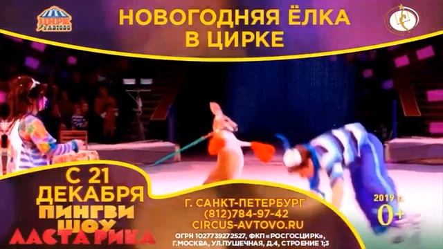 Автово Ёлка смотреть онлайн