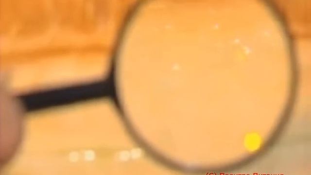 Научись выбирать вкусную дыню смотреть онлайн