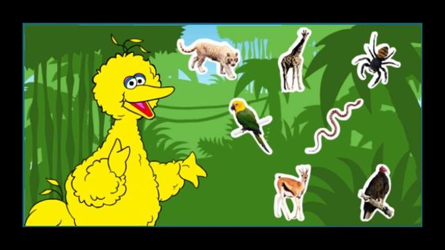 Sesame Street Journey To Ernie Cartoon Animation PBS Kids Game Play Walkthrough смотреть онлайн