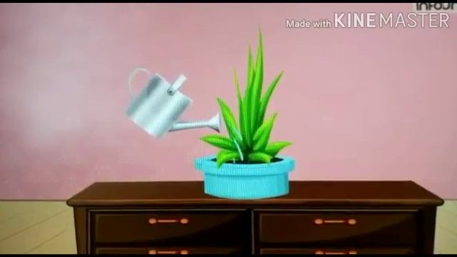 Окружающий мир в старше-подготовительной группе «Лекарственные растения у нас на подоконнике» смотреть онлайн