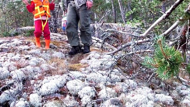 СУП из БЕЛЫХ ГРИБОВ.ОСТРОВ БОЛЬШОЙ ЧЕРНЫЙ. ОТВАЛЬНАЯ. ЛАДОГА. КАЯКЕР на ПАКРАФТЕ /ПУТЬ 28 ДНЕЙ/ ч.1