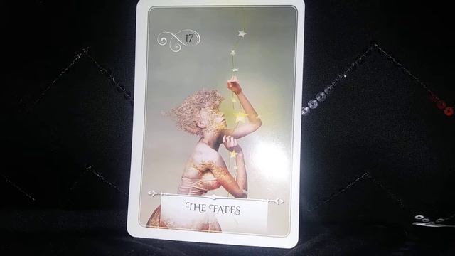 The Fates #17✨Daily Guidance - Wisdom Of The Oracle Message #Fate #Wisdom #Guidance #Message #Cards смотреть онлайн