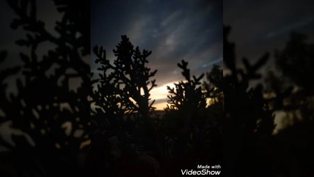 تلاوة عطرة للقارئ الشيخ عبد الرحمن مسعد ( المزمل ، النبأ ، الاعلى ، الماعون )، смотреть онлайн