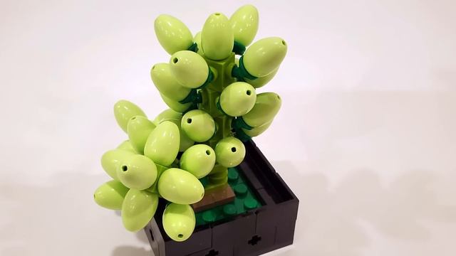 LEGO Succulents Review! 2022 Botanical Collection смотреть онлайн