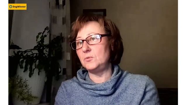 Как развивать у собаки внимание? смотреть онлайн