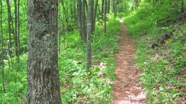 Exhilaration: Oh! may I worthy prove to see смотреть онлайн