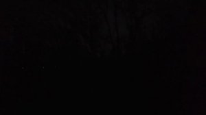 Супер Ночная Охота??? на Фазана с Хатсаном 125 и пулями Диаболо Точный Зверь 1.05 грамм ?????