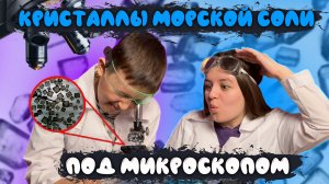 КРИСТАЛЛЫ МОРСКОЙ СОЛИ  ПОД МИКРОСКОПОМ